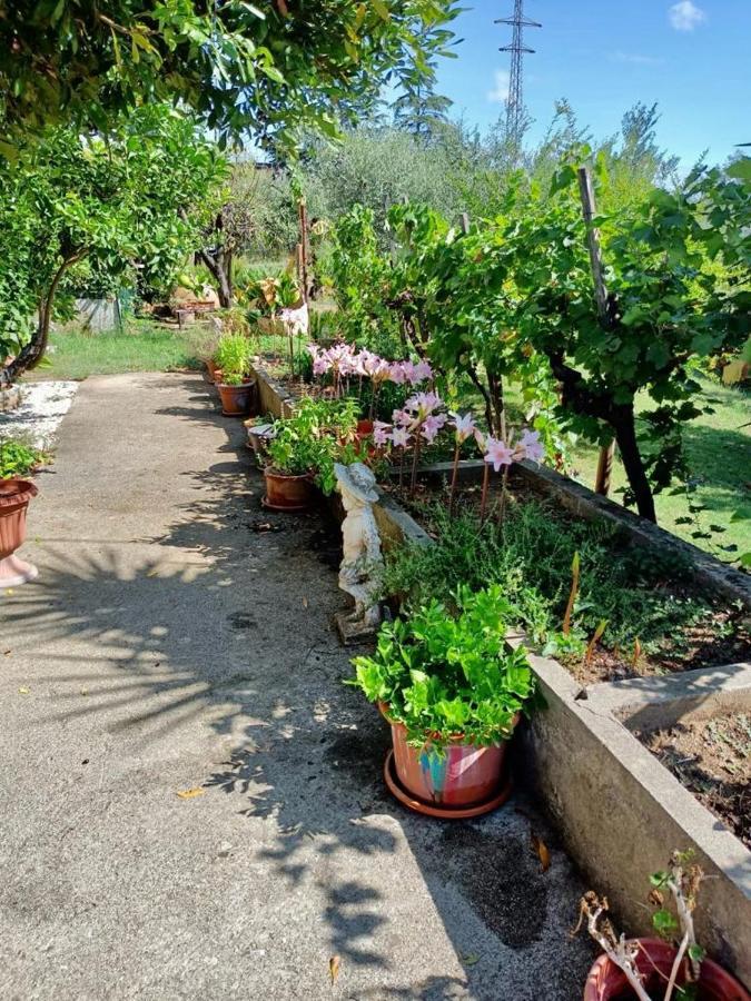 Appartement Colle Perazzoni à Fiano Romano Extérieur photo