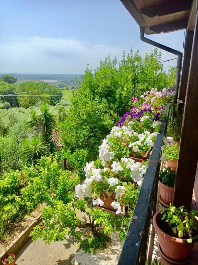 Appartement Colle Perazzoni à Fiano Romano Extérieur photo