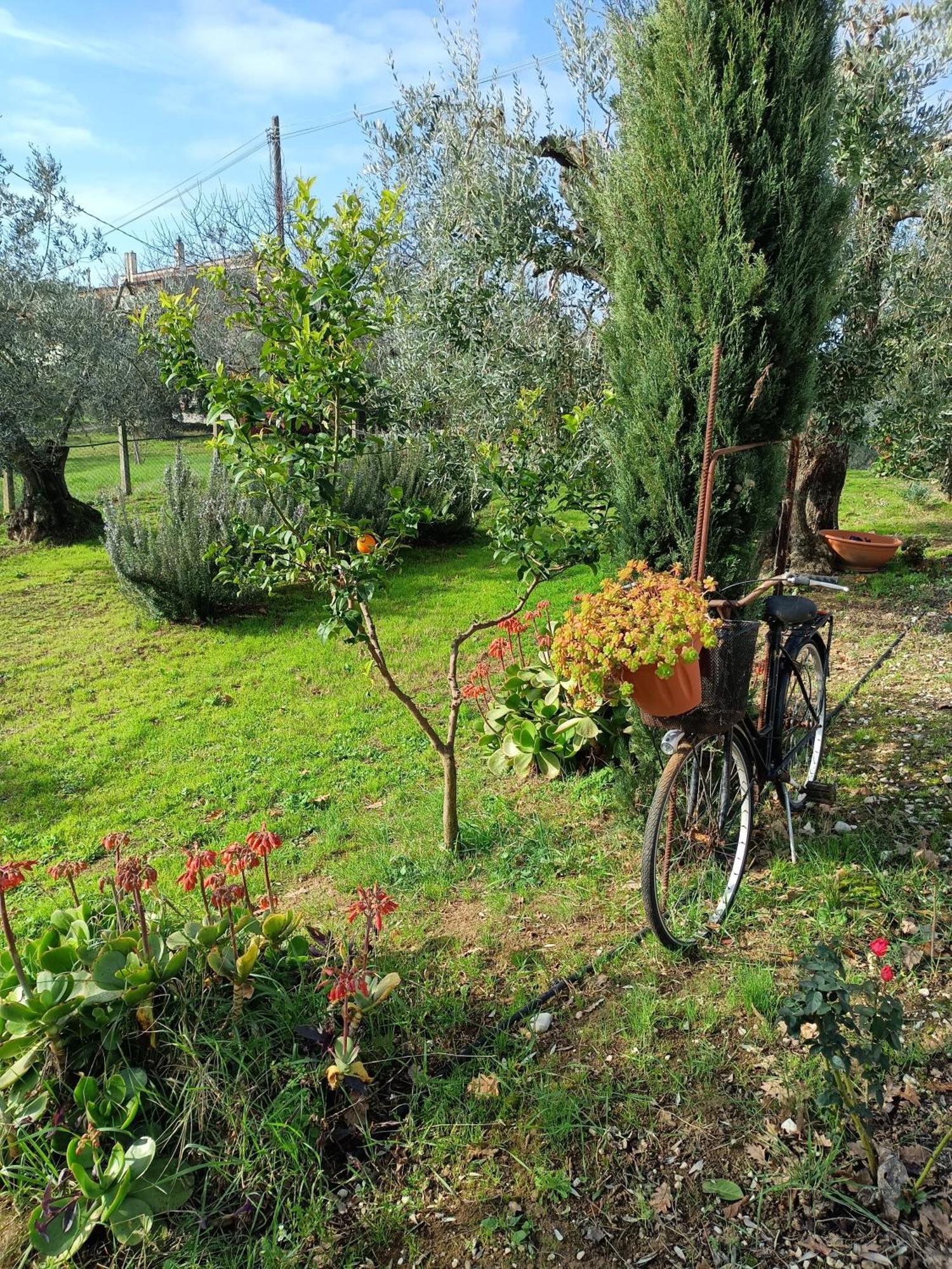 Appartement Colle Perazzoni à Fiano Romano Chambre photo